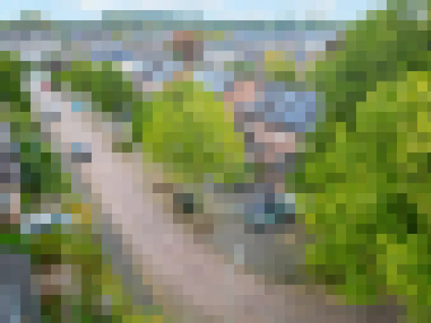 Snijderstraat 41 Oss thumbnail 31