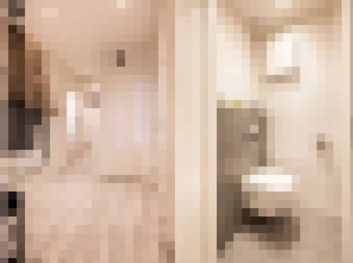 Snijderstraat 41 Oss thumbnail 7