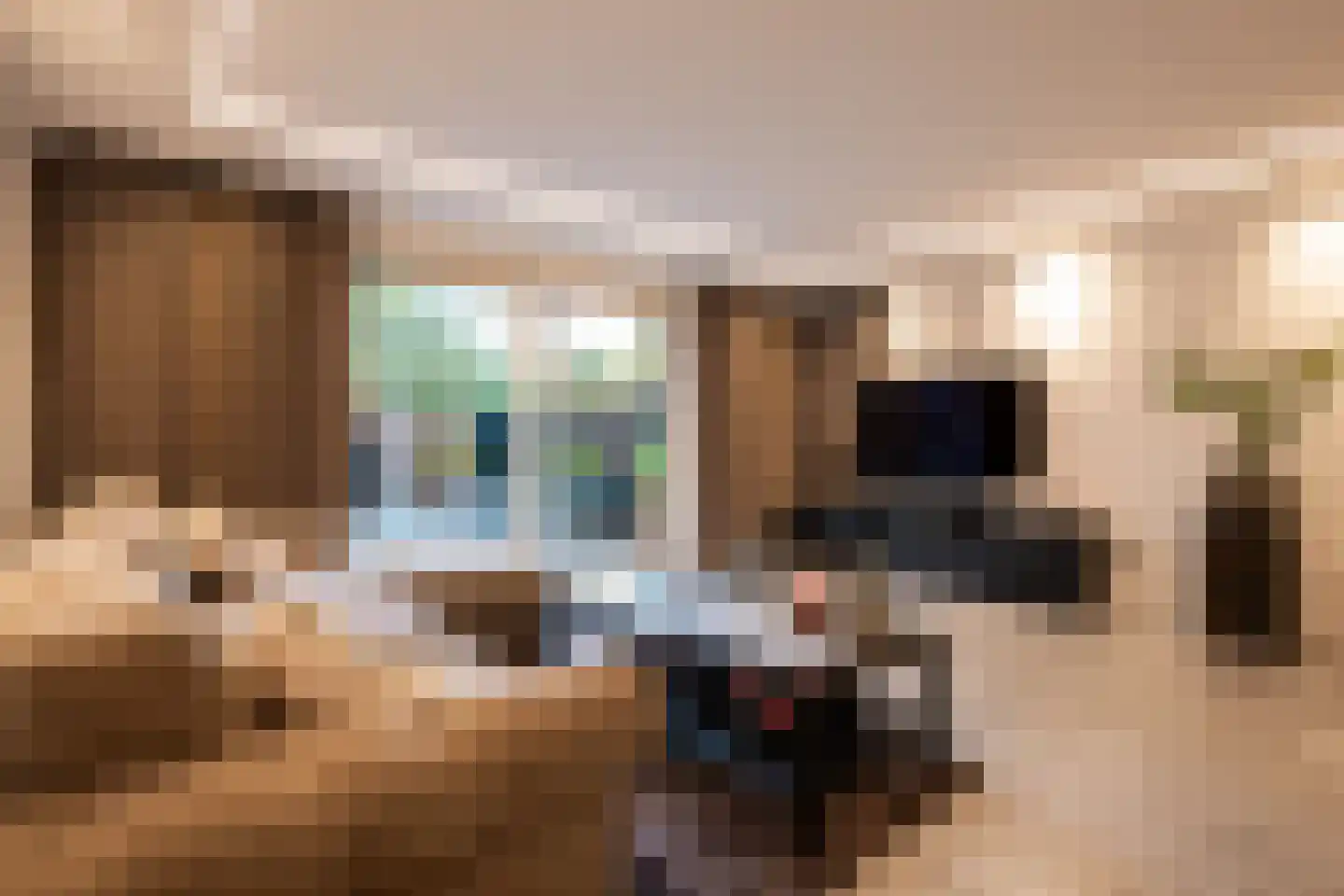 Snijderstraat 41 Oss thumbnail 9