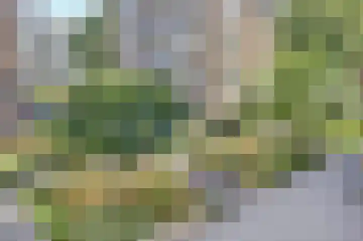 Snijderstraat 6 a Gorinchem thumbnail 4