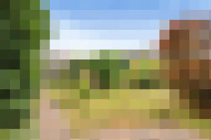 Snijderstraat 9 Wormer thumbnail 10