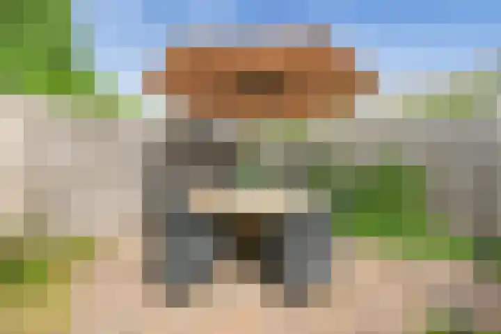 Snijderstraat 9 Wormer thumbnail 11