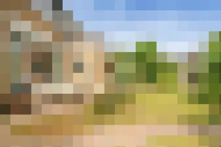 Snijderstraat 9 Wormer thumbnail 14