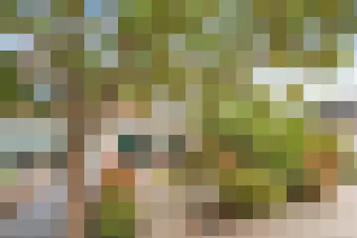 Snijderstraat 9 Wormer thumbnail 32