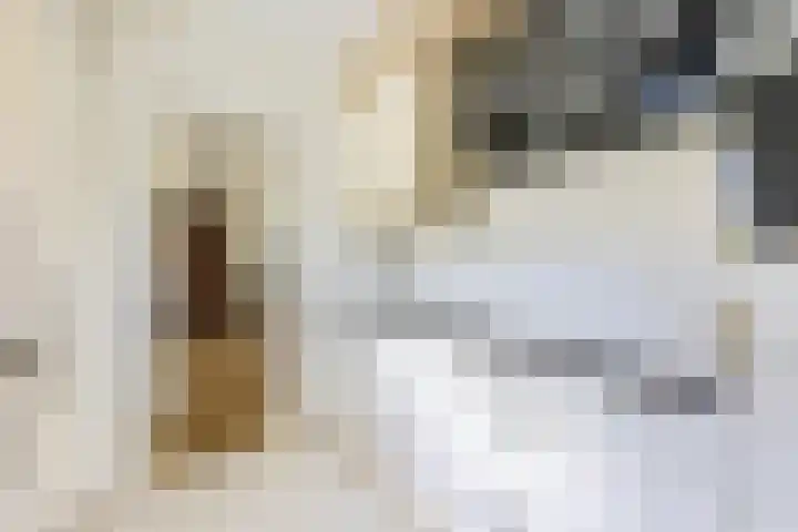 Snijderstraat 9 Wormer thumbnail 9