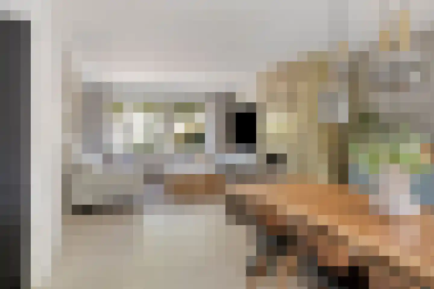 Snijderwei 2 Valkenswaard thumbnail 13