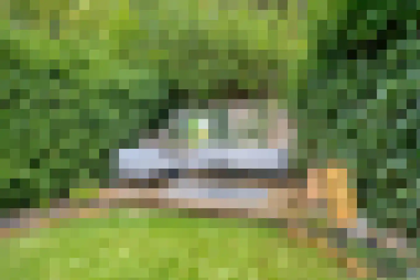 Snijderwei 2 Valkenswaard thumbnail 38
