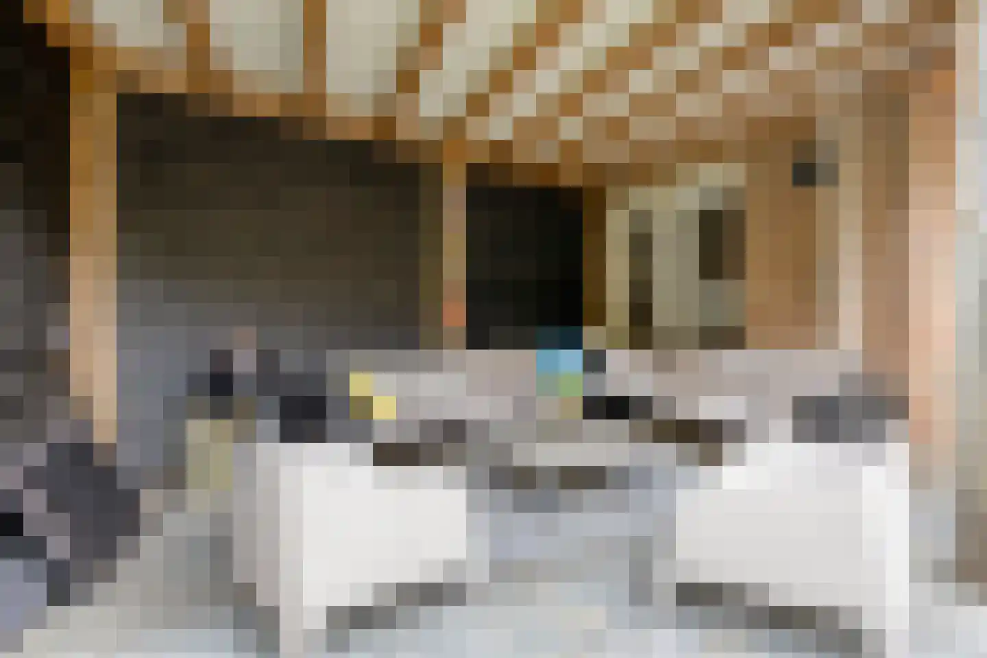 Snijderwei 2 Valkenswaard thumbnail 39
