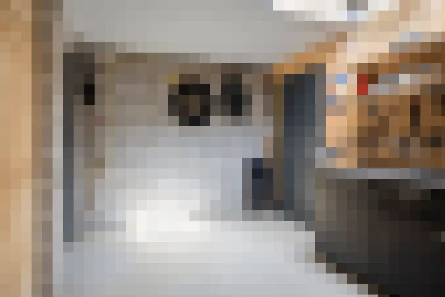 Snijderwei 2 Valkenswaard thumbnail 42