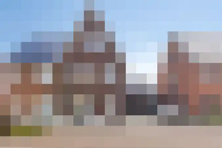 Snijpaardje 36 Best