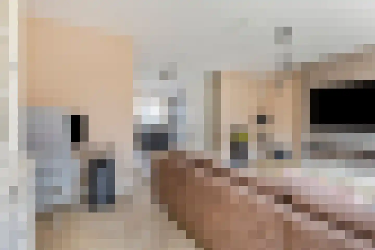 Snijpaardje 36 Best thumbnail 11