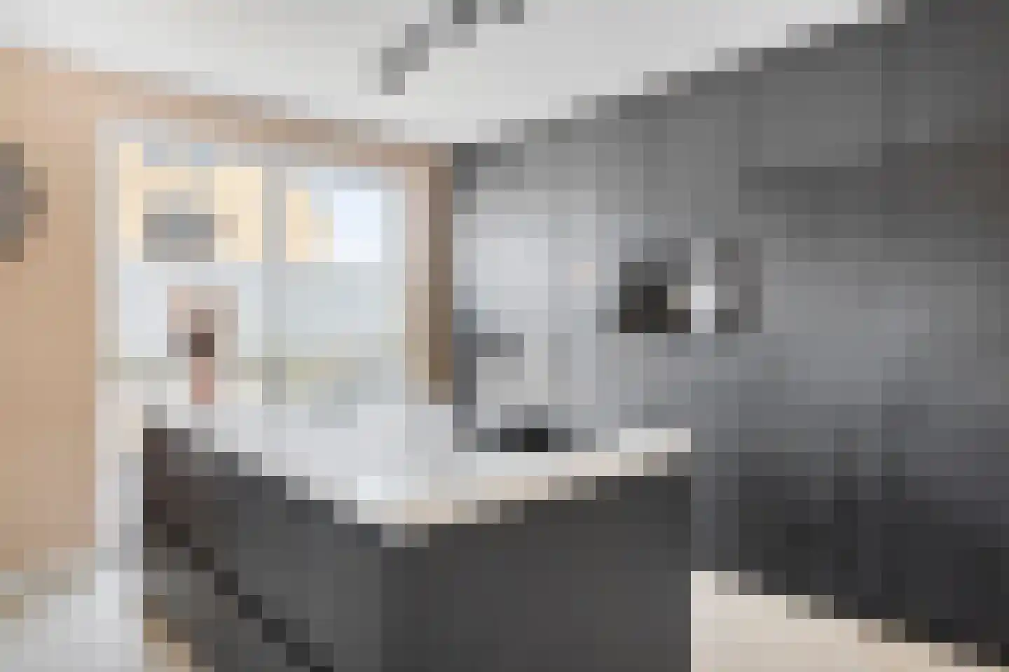 Snijpaardje 36 Best foto 2