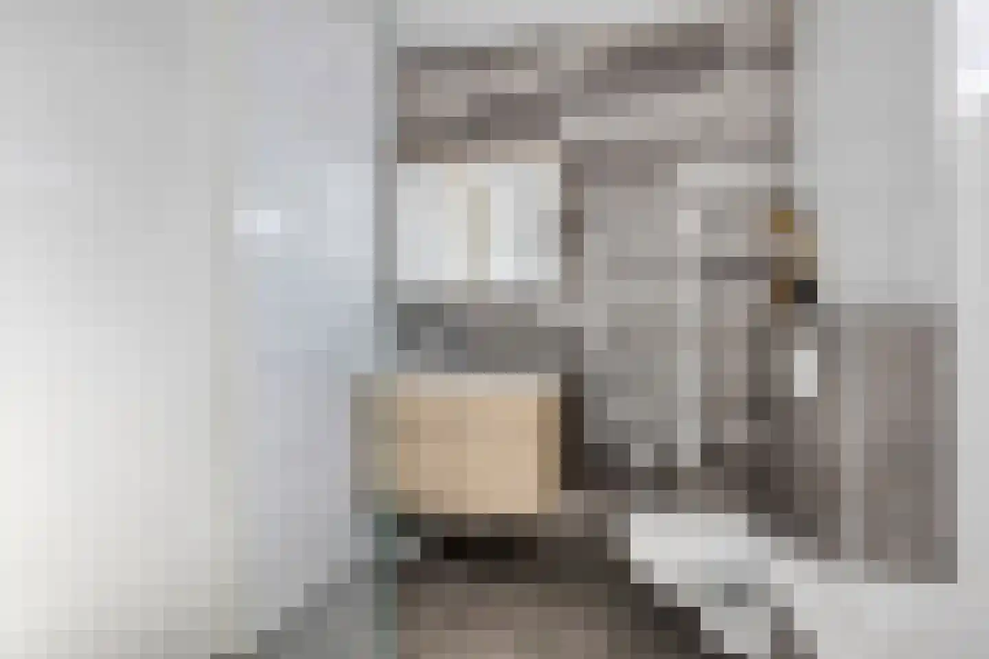 Snijpaardje 36 Best thumbnail 22