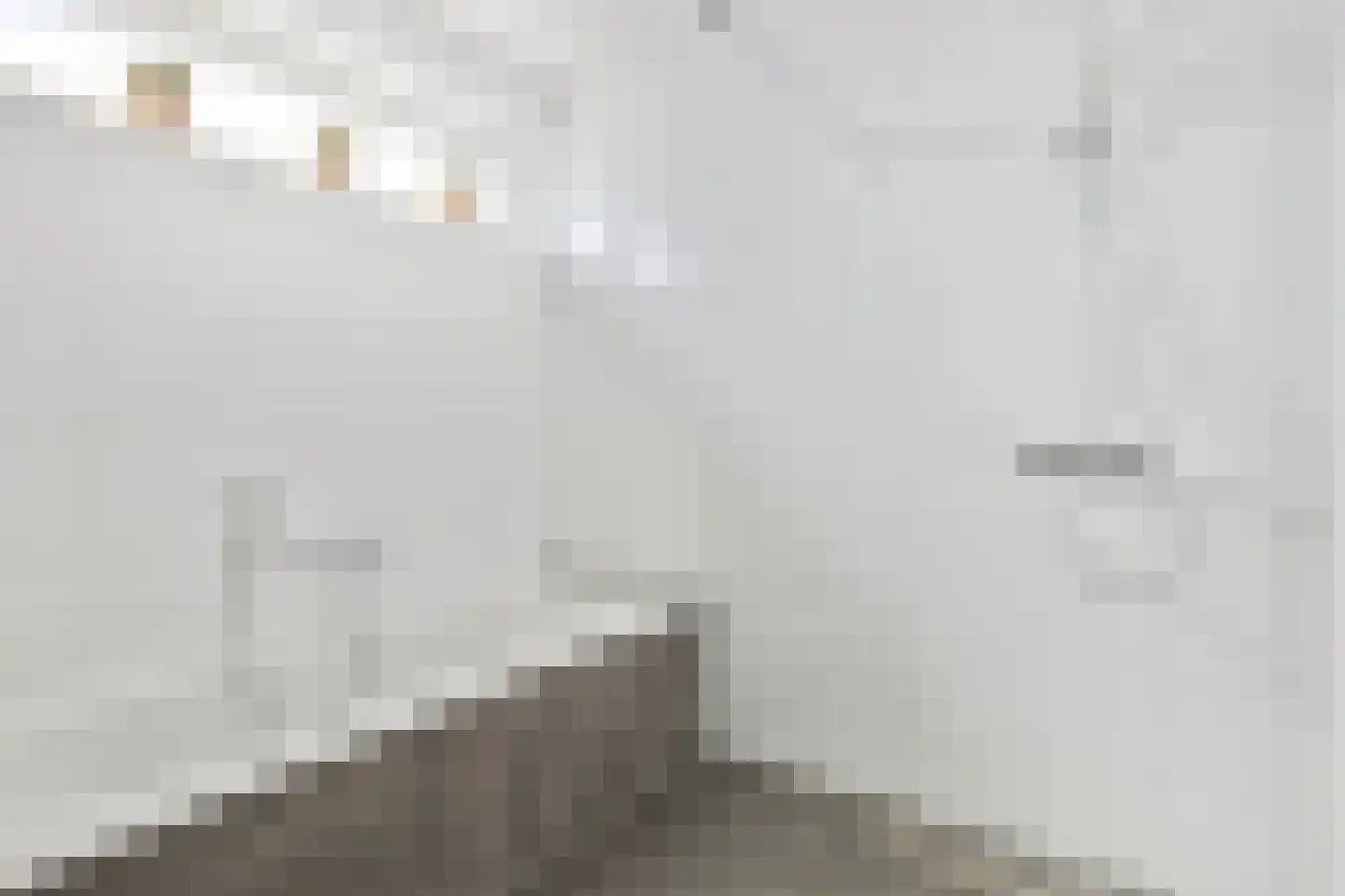 Snijpaardje 36 Best thumbnail 23