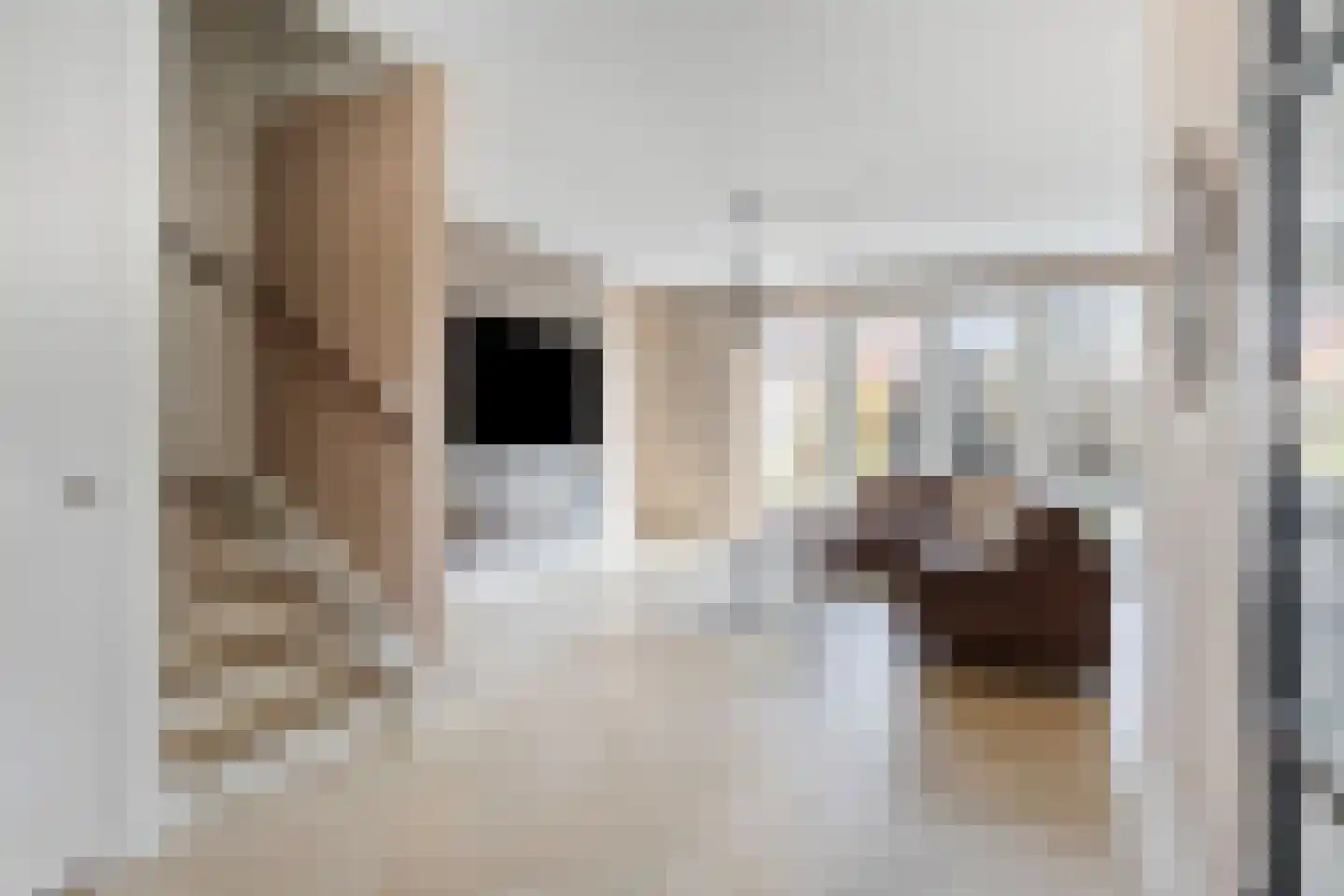 Snijpaardje 36 Best foto 3