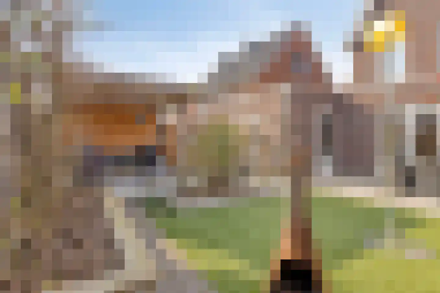 Snijpaardje 36 Best thumbnail 34