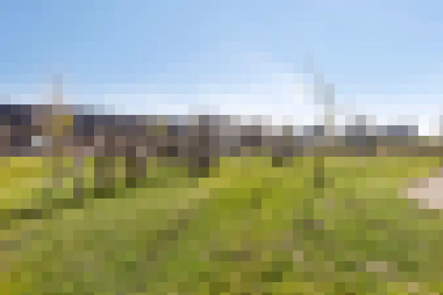 Snijpaardje 36 Best thumbnail 39