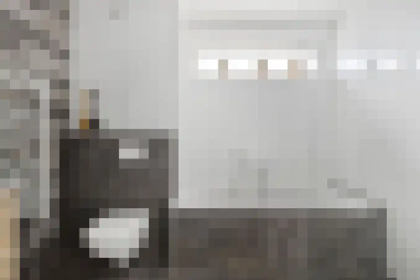 Snijpaardje 36 Best thumbnail 4