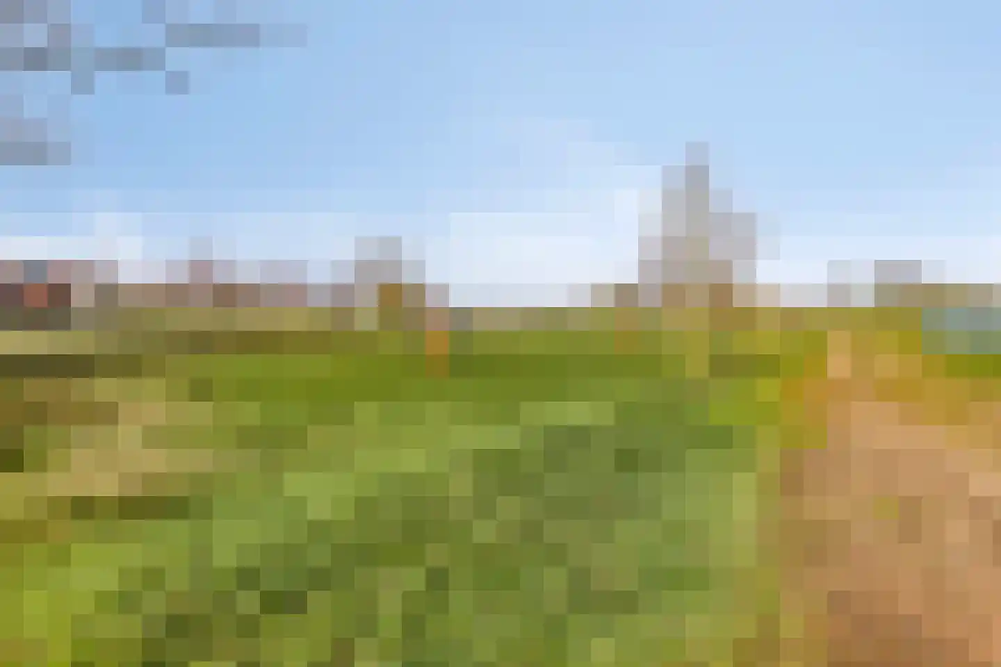 Snijpaardje 36 Best thumbnail 40
