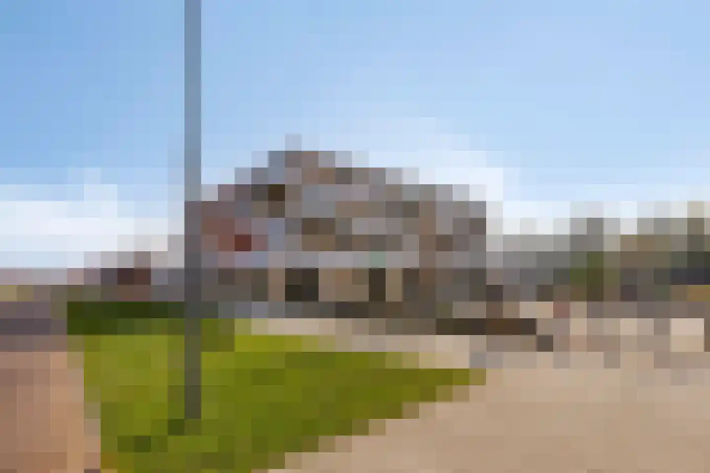 Snijpaardje 36 Best thumbnail 41