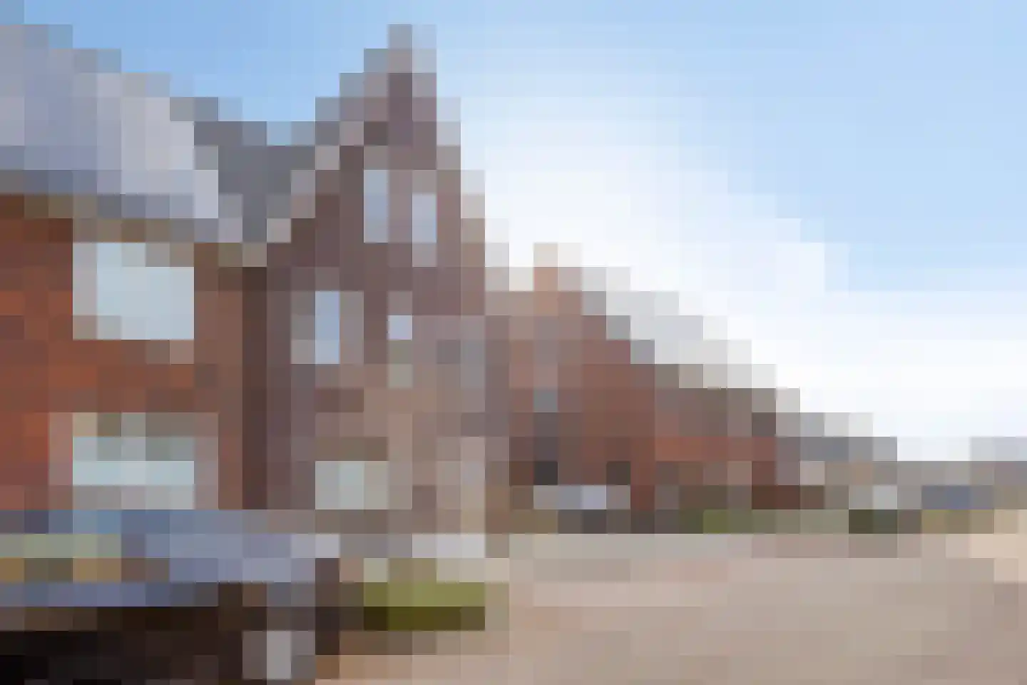 Snijpaardje 36 Best thumbnail 6