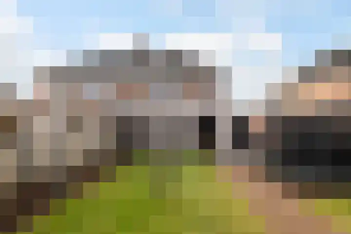 Snikke 9 Nieuw-Amsterdam thumbnail 36
