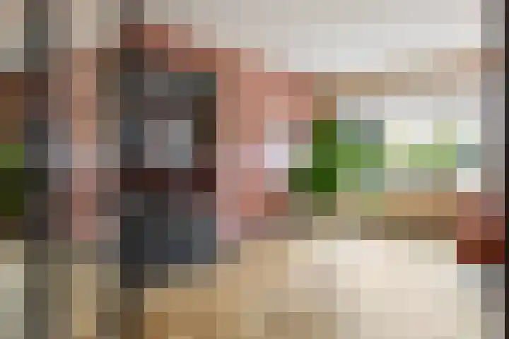 Snikke 9 Nieuw-Amsterdam thumbnail 4