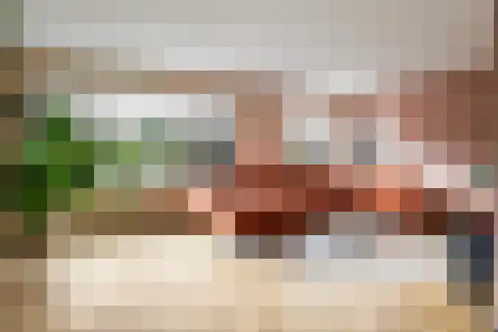 Snikke 9 Nieuw-Amsterdam thumbnail 5