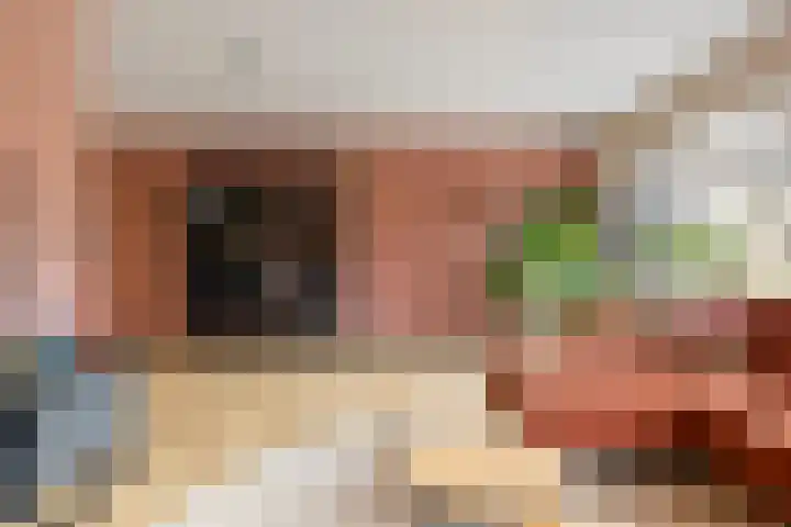 Snikke 9 Nieuw-Amsterdam thumbnail 7