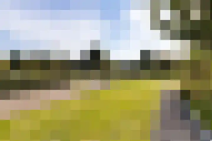 Snikkepad 6 Delfzijl thumbnail 12