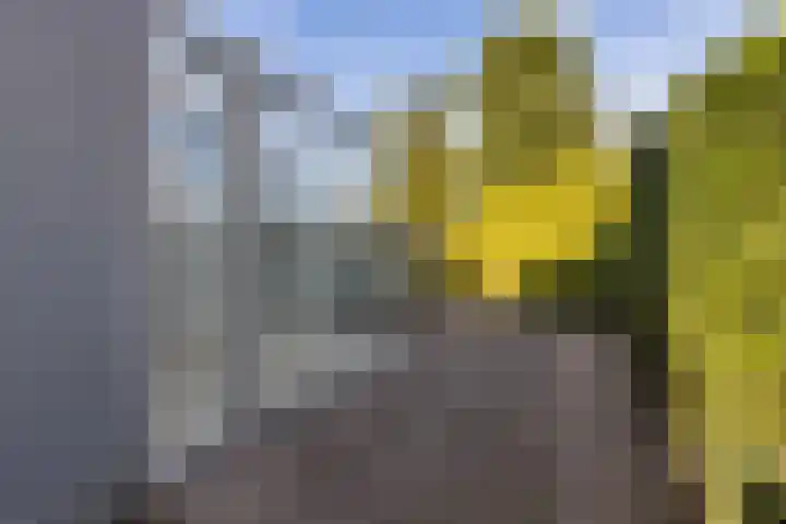 Snikkepad 6 Delfzijl thumbnail 14