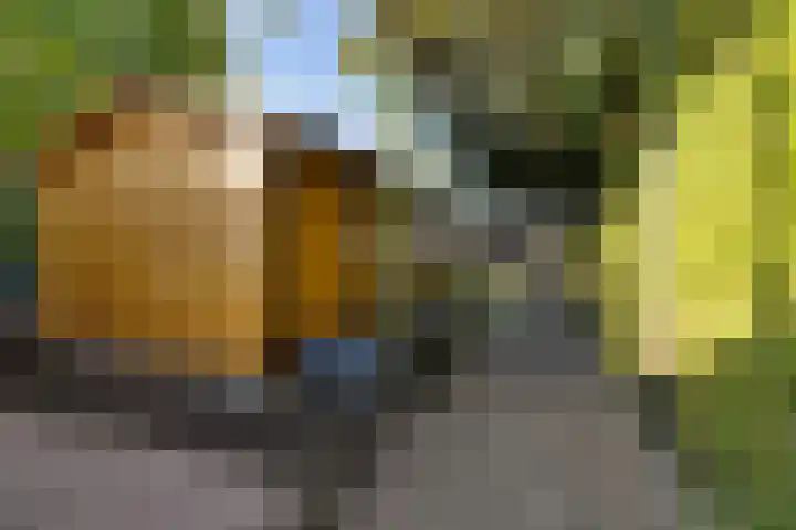 Snikkepad 6 Delfzijl thumbnail 15