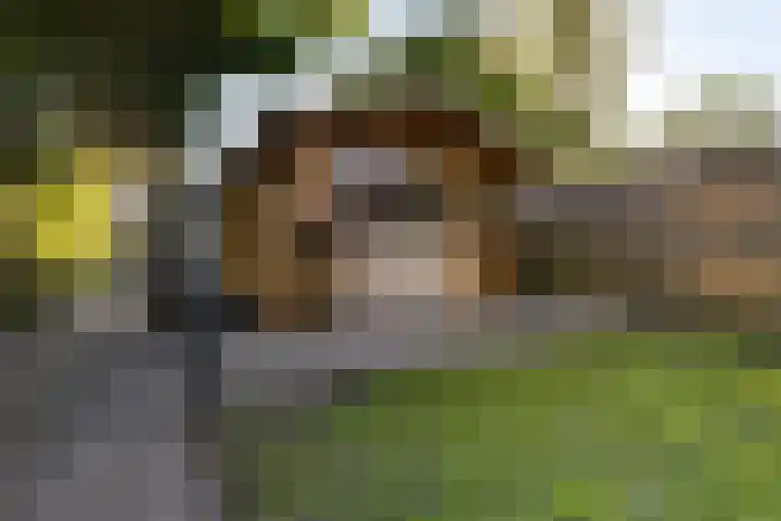 Snikkepad 6 Delfzijl thumbnail 16