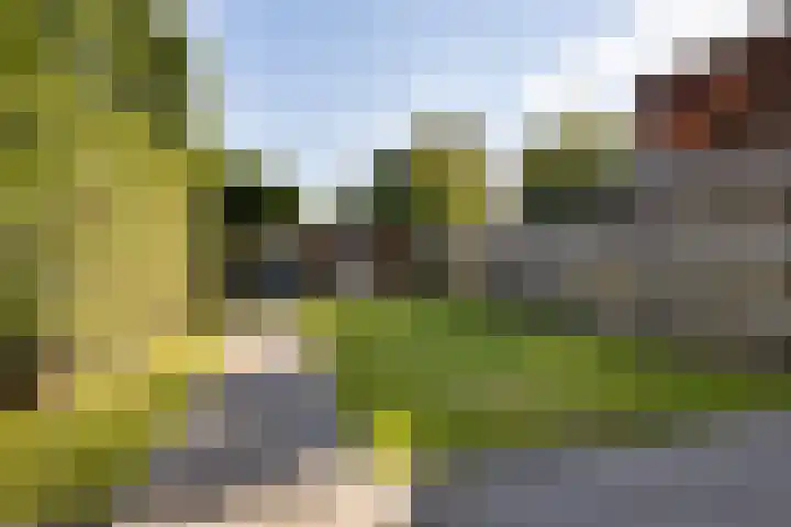 Snikkepad 6 Delfzijl thumbnail 20