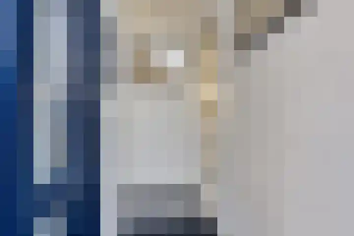 Snikkepad 6 Delfzijl thumbnail 21