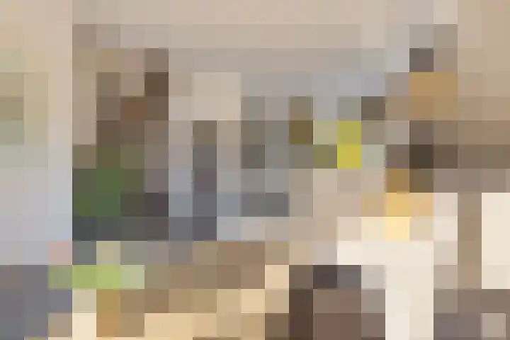 Snikkepad 6 Delfzijl thumbnail 22