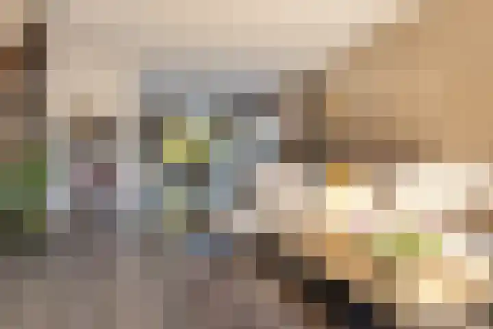 Snikkepad 6 Delfzijl thumbnail 23