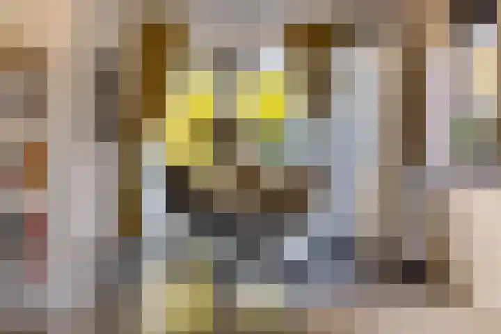 Snikkepad 6 Delfzijl thumbnail 27