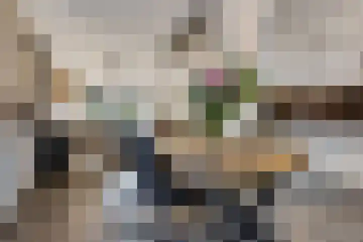 Snikkepad 6 Delfzijl thumbnail 28
