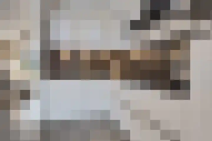 Snikkepad 6 Delfzijl thumbnail 30