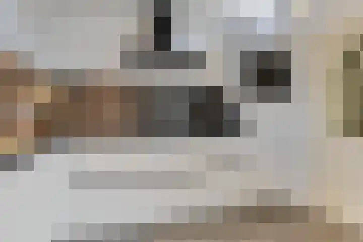 Snikkepad 6 Delfzijl thumbnail 31