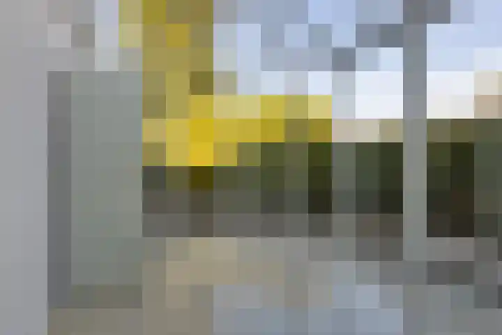 Snikkepad 6 Delfzijl thumbnail 32