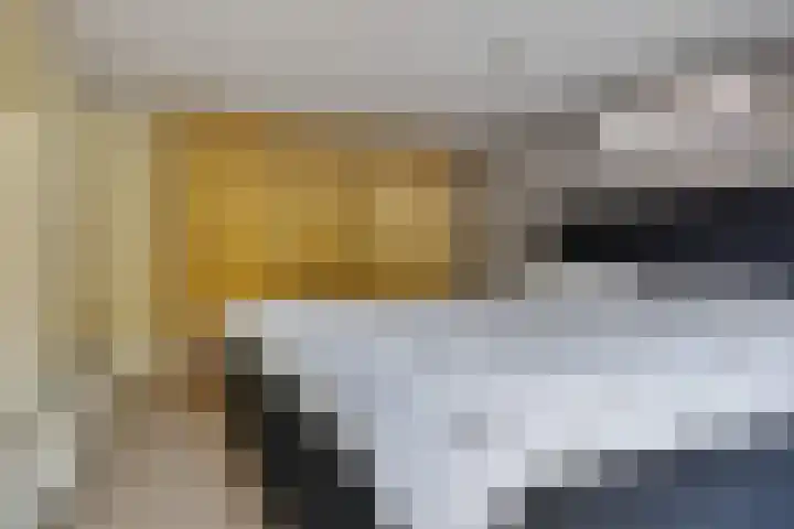 Snikkepad 6 Delfzijl thumbnail 39