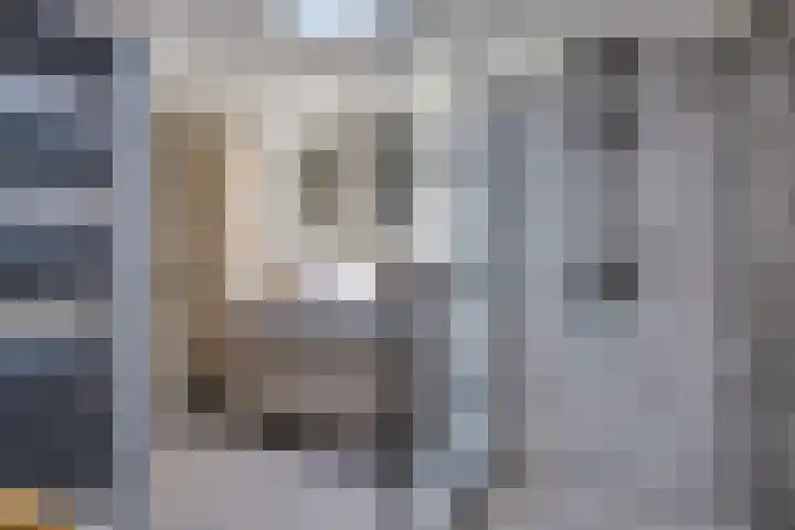 Snikkepad 6 Delfzijl thumbnail 4