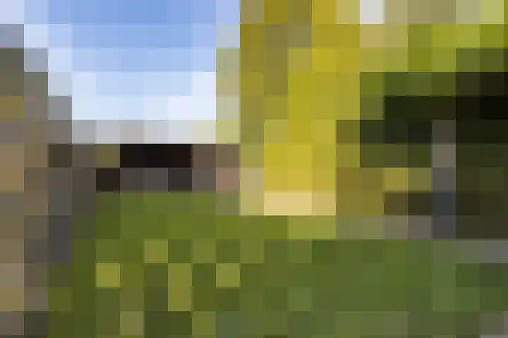 Snikkepad 6 Delfzijl thumbnail 5