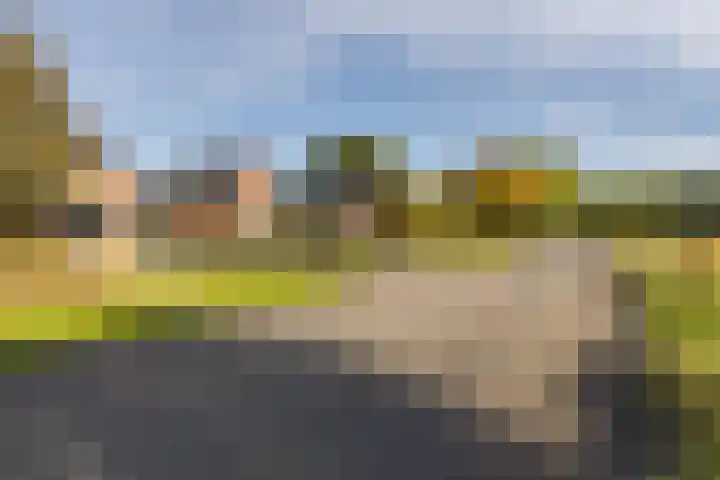 Snikkepad 6 Delfzijl thumbnail 7