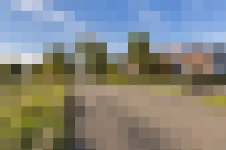 Snikkepad 6 Delfzijl thumbnail 8