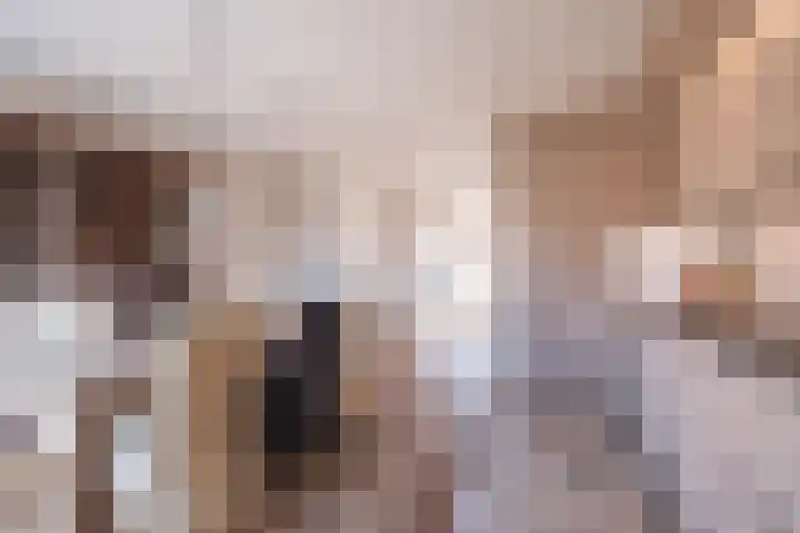 Snip 1 Ursem thumbnail 11
