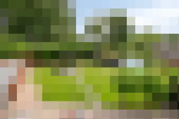 Snip 1 Ursem thumbnail 17