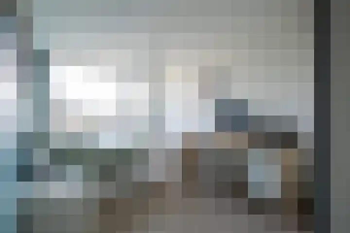 Snip 1 Ursem thumbnail 19